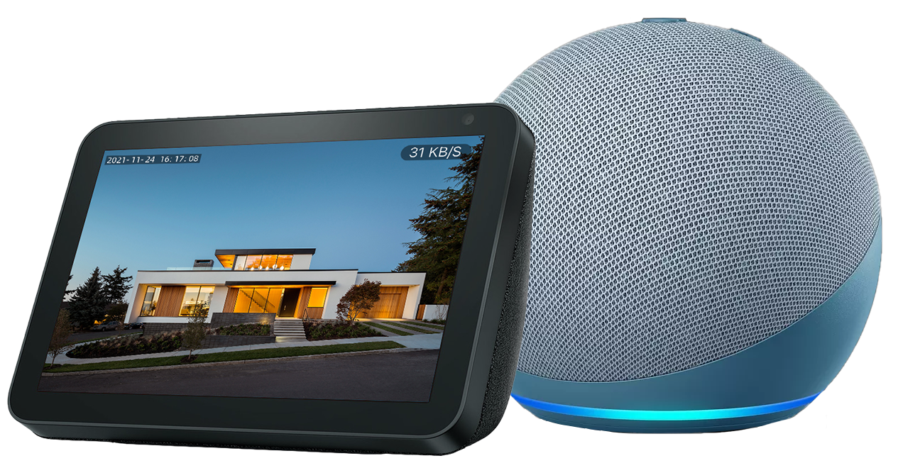 Asistentes virtuales para el control por voz de accesos.